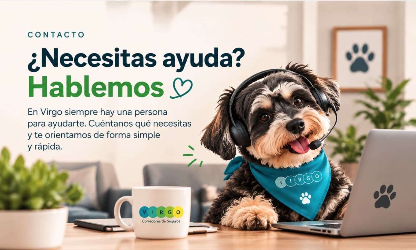 Contacto: ¿Necesitas ayuda? Hablemos. En Virgo siempre hay una persona para ayudarte. Cuéntanos qué necesitas y te orientamos de forma simple y rápida.
